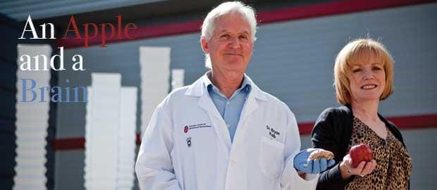 An apple and a brain