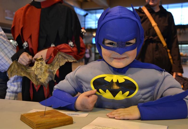 Spooky Science has genome goo, ghost cannons and yes, exploding pumpkins