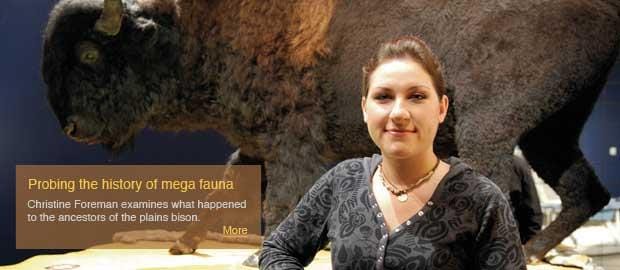 Archaeologist probing the history of mega fauna