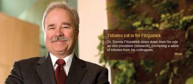 Fitzpatrick led transformation