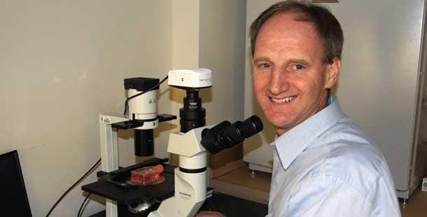 Golsteyn on cutting edge of cancer research
