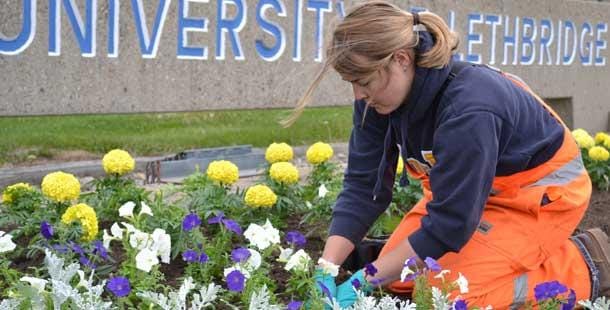 Grounds crew sustains University's beauty