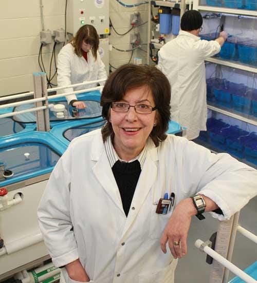 Hontela contributes to IET team