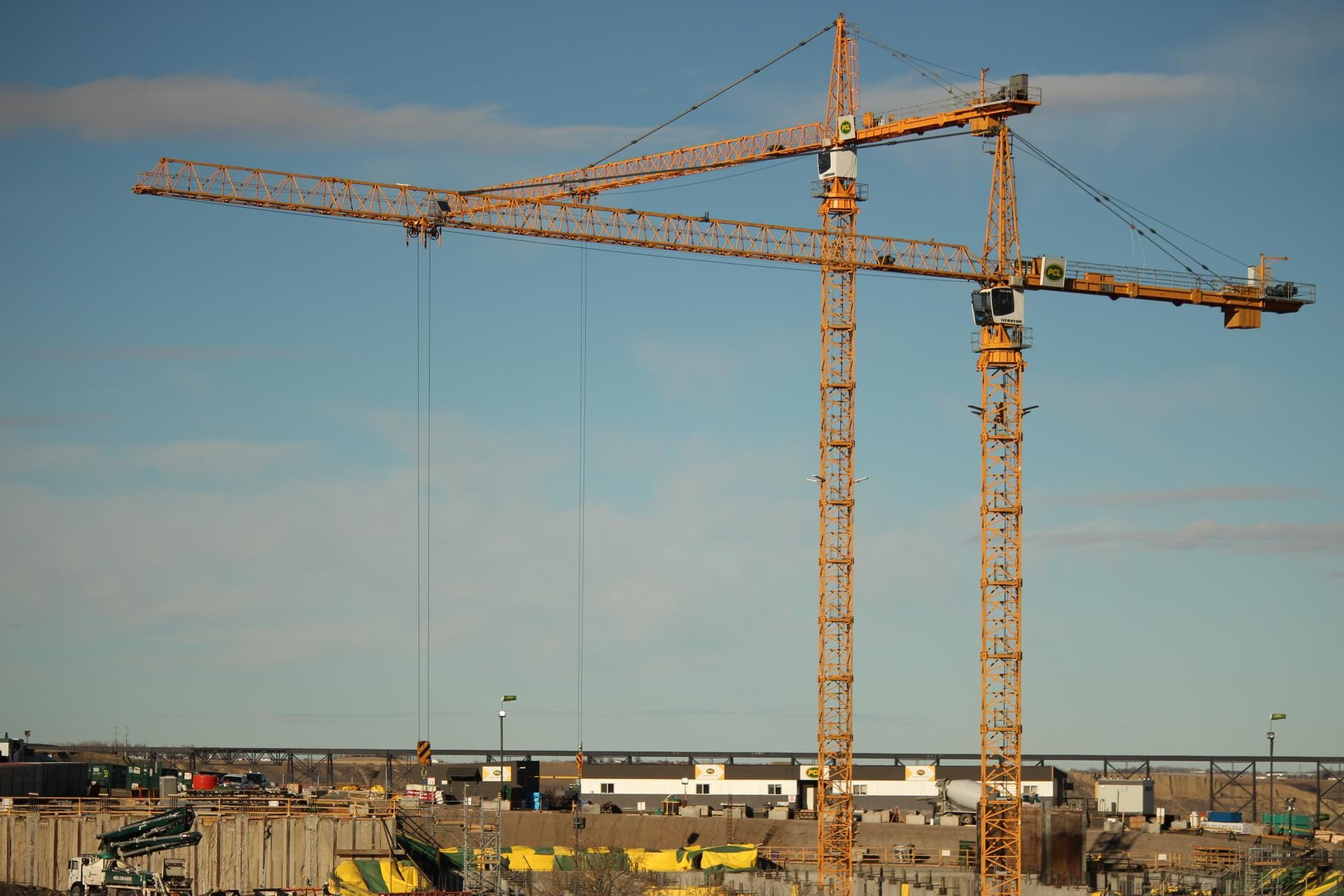 Little Yeller joins the Destination Project