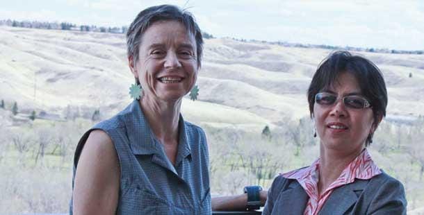 IRDF - Investigating the effectiveness of social programs