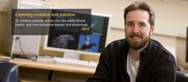 Bird brains shed light on evolution and pollution