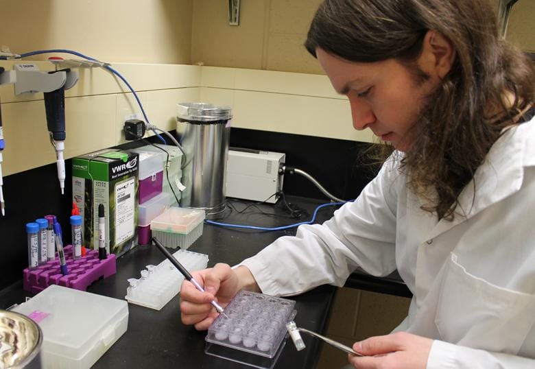 Journey to academic success doesn't always follow same path