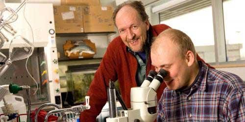 Rasmussen Appointed to National Oilsands Review Panel