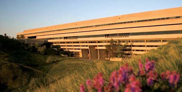 Past shaping the future