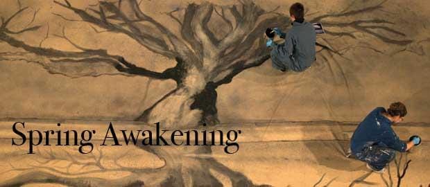 Spring Awakening shocks, resonates