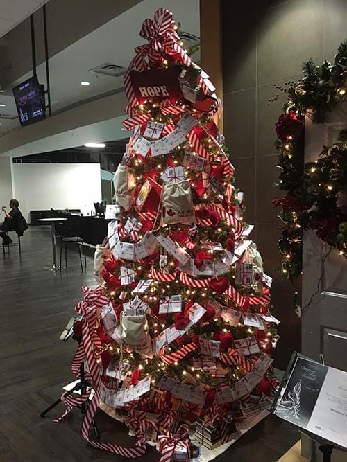 Bookstore Tree of Hope has special contribution from school children