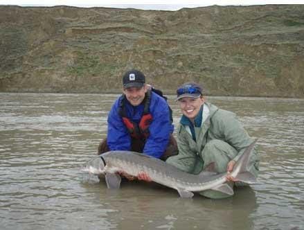 A really big fish story