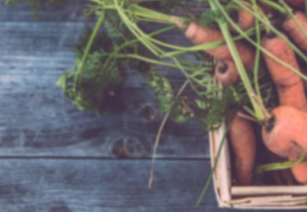 AGILITY Innovation Summit to feature agriculture industry leaders