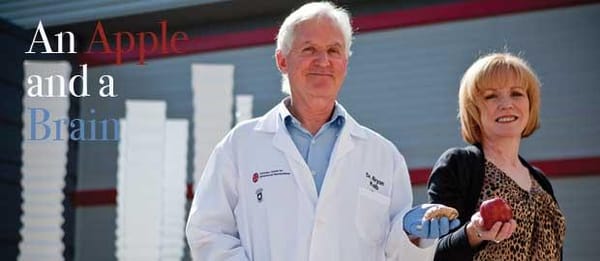 An apple and a brain