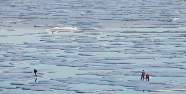 Co-op interns show off creative side