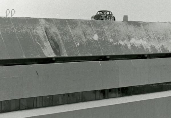 Beetle mystery finally solved