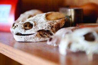 Call it clutter with a purpose