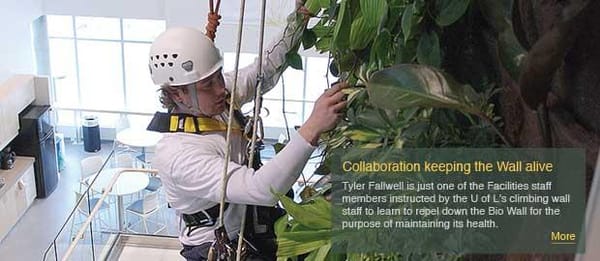 Maintaining the Wall a team effort