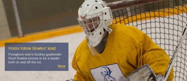 Horns follow Bowles' lead