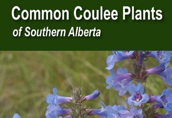 Coulee plant publication a collaboration between library, faculty and community