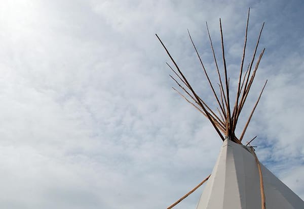 FNMI protocol handbook created