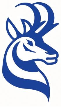 Horns hit the road for basketball playoffs