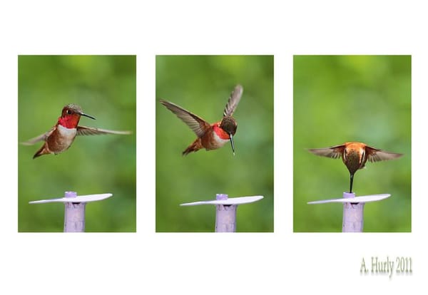 U of L scientists to be featured on The Nature of Things