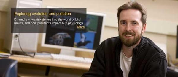 Bird brains shed light on evolution and pollution