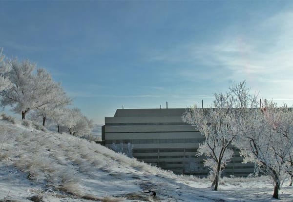 University adds to graduate programming with two new PhD offerings