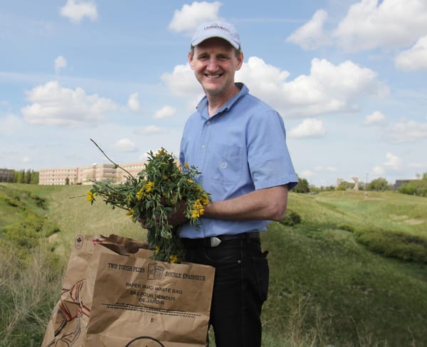 Cancer-fighting properties of the buffalo bean being investigated by U of L research team