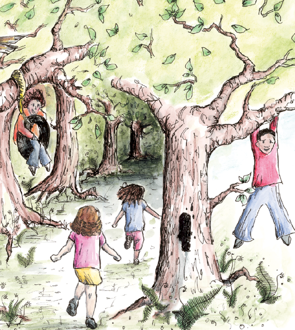 Hidden Paths, Tangled Woods and Interesting Play Spaces