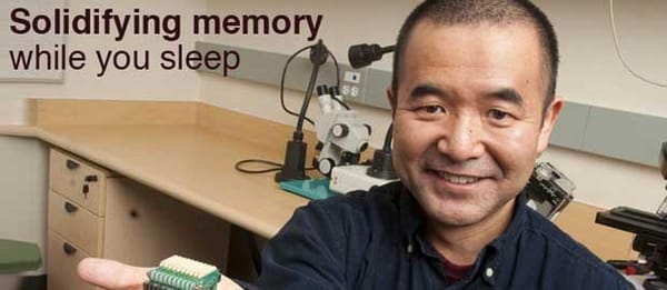 Solidifying memory while you sleep