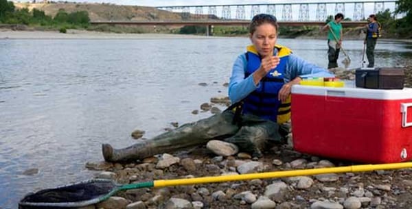 Water research makes WISE step